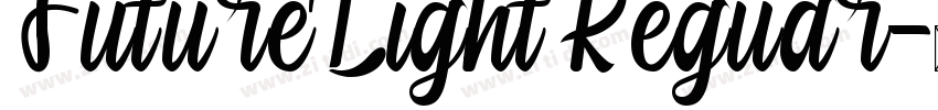 Future Light Reguar字体转换